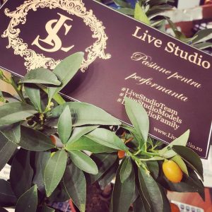 LiveStudio studio videochat bucuresti